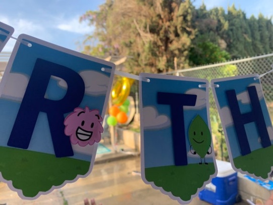 Throw An Epic BFDI Birthday Bash With Awesome Decorations!